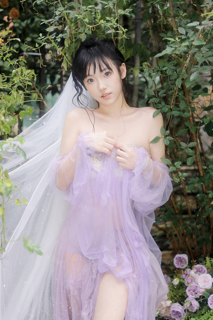 大明王朝1566 封面